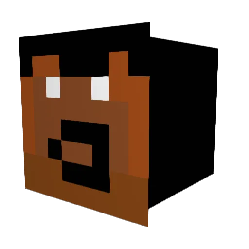 Hencci5 Minecraft avatar head, 3D render