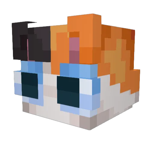 HenceThePickles Minecraft avatar head, 3D render