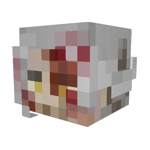 Hencerbin Minecraft avatar head, 3D render