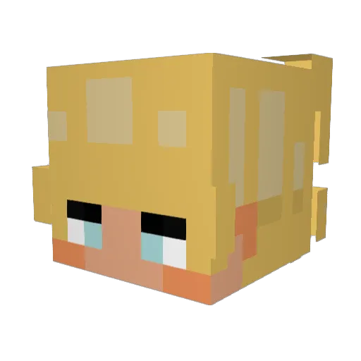 HendrikB2007 Minecraft avatar head, 3D render