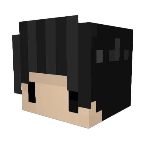 Hendroxx Minecraft avatar head, 3D render