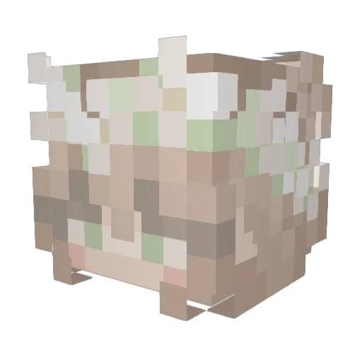 Henek5 Minecraft avatar head, 3D render