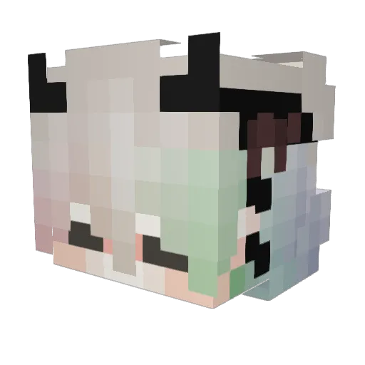 Henes350 Minecraft avatar head, 3D render