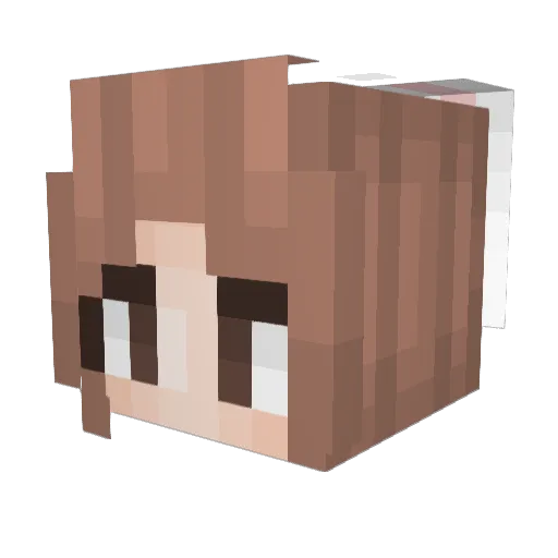 Henesi3ppi Minecraft avatar head, 3D render