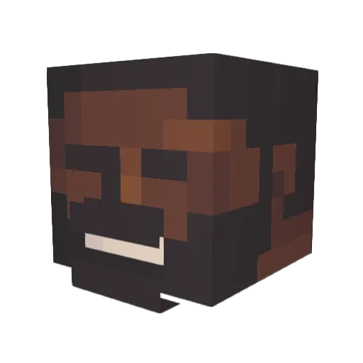 HeniekkTenFejm Minecraft avatar head, 3D render