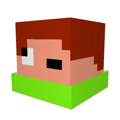 Henio1318 Minecraft avatar head, 3D render