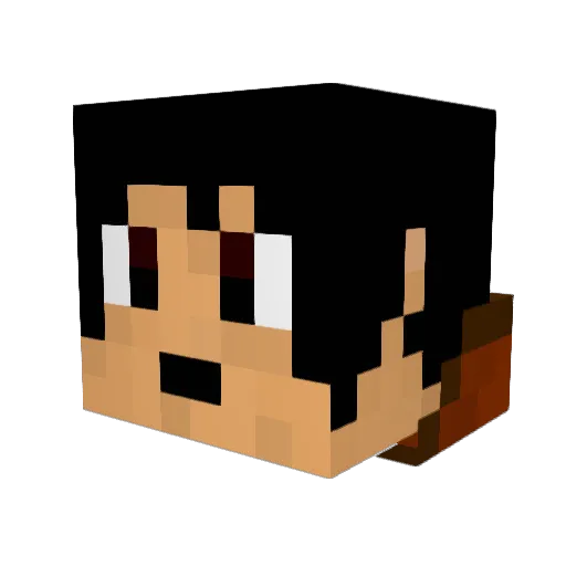 Henkjonas Minecraft avatar head, 3D render