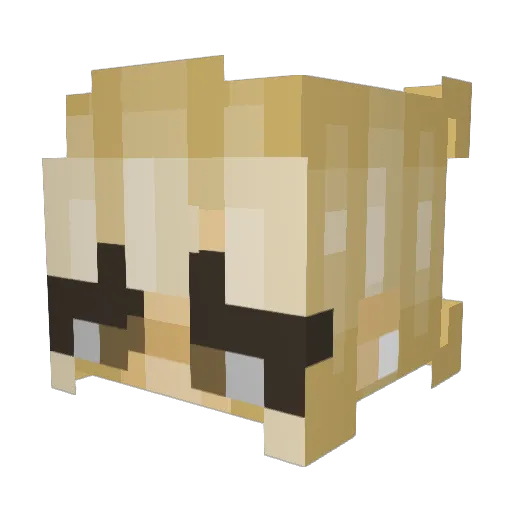 Henley101 Minecraft avatar head, 3D render