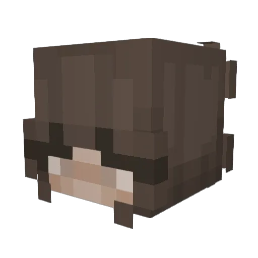 Hennaaaa Minecraft avatar head, 3D render