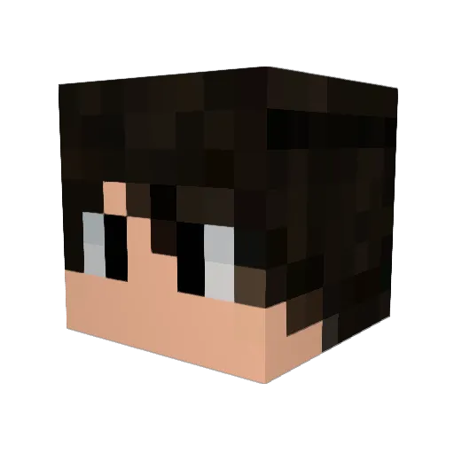 Hennaf22 Minecraft avatar head, 3D render