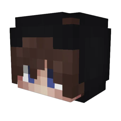 Minecraft-Avatar von Hennesym: Kopf als 3D-Render