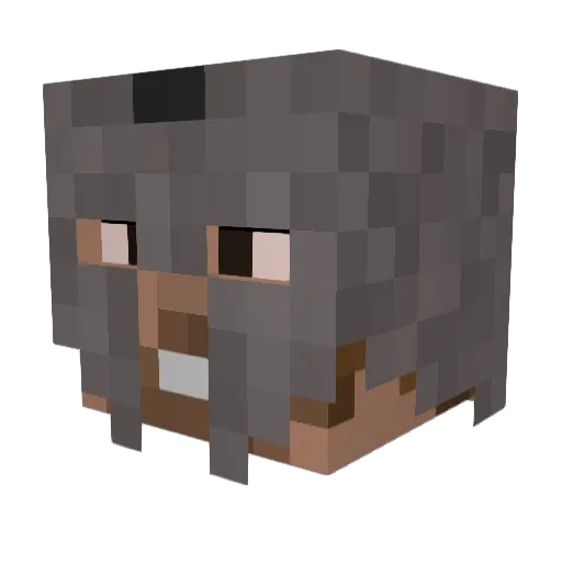 Henni300 Minecraft avatar head, 3D render