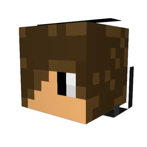 Henningggggg Minecraft avatar head, 3D render