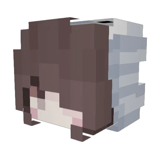 Hennylicious Minecraft avatar head, 3D render
