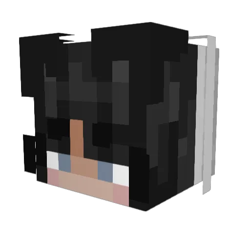 Henri11223 Minecraft avatar head, 3D render