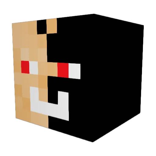 HenriCool2013 Minecraft avatar head, 3D render
