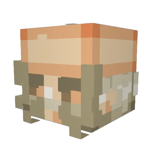 Henriqe Minecraft avatar head, 3D render