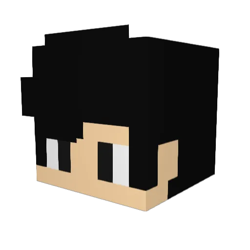 Henriqiis Minecraft avatar head, 3D render