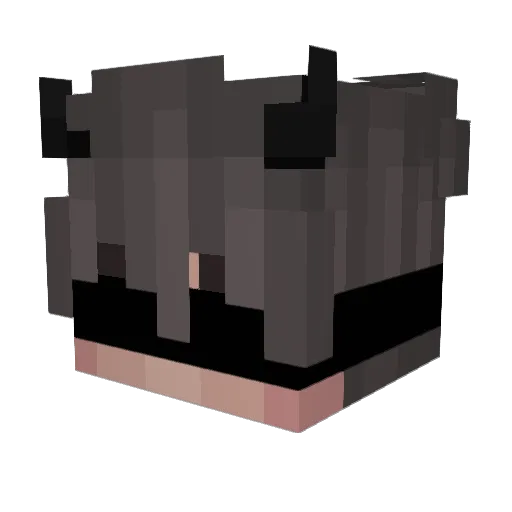 HenriqueHaxshw Minecraft avatar head, 3D render