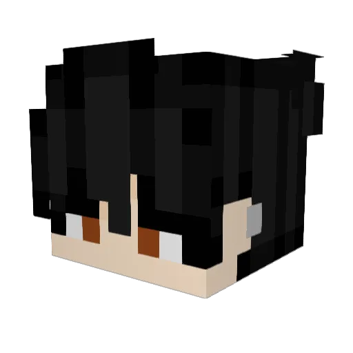Henry0428 Minecraft avatar head, 3D render