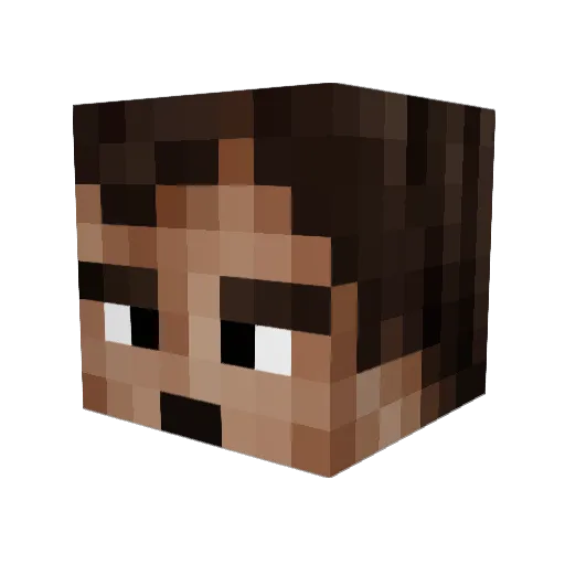 Henry2908 Minecraft avatar head, 3D render