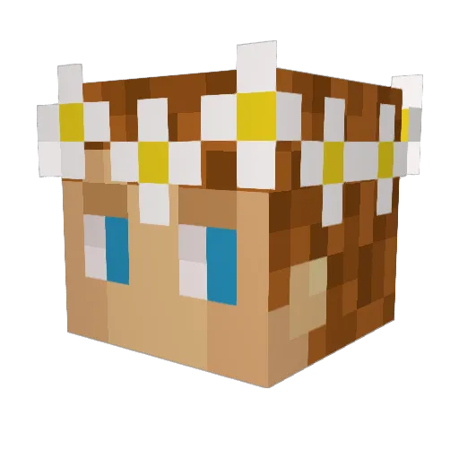 HenryBae Minecraft avatar head, 3D render