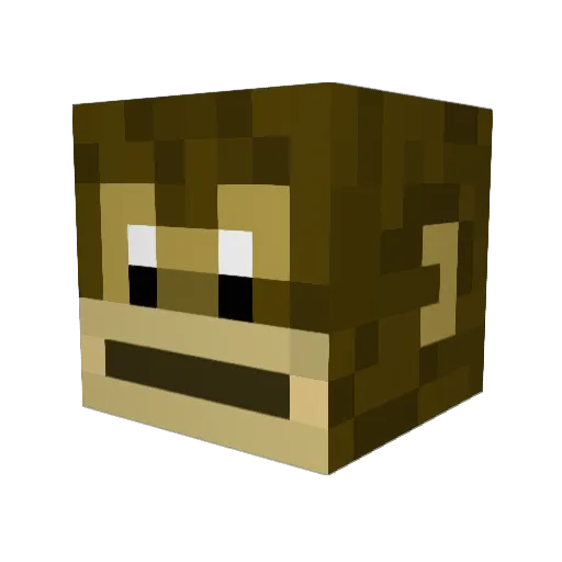 HenryCaster Minecraft avatar head, 3D render