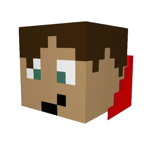 HenryNK13 Minecraft avatar head, 3D render