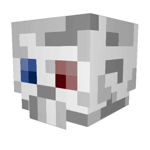HenryPoer09 Minecraft avatar head, 3D render