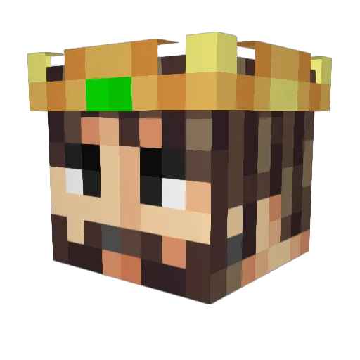 HenryW1 Minecraft avatar head, 3D render