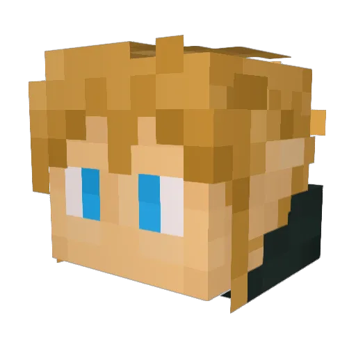 Henryk37 Minecraft avatar head, 3D render