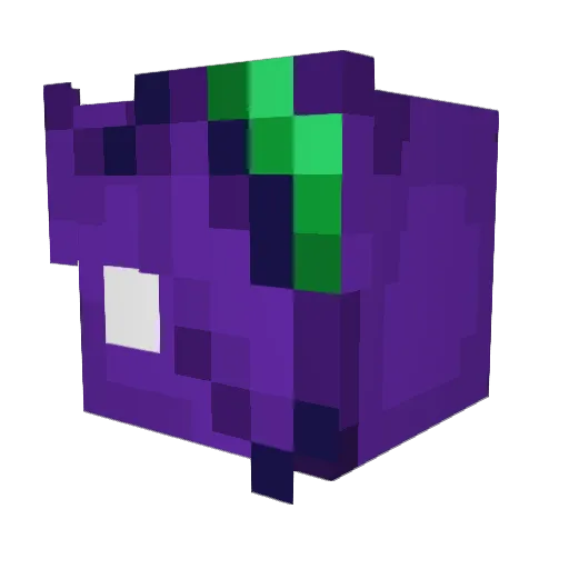 Henrythetoaster Minecraft avatar head, 3D render