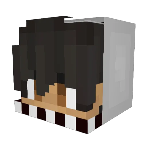 Henryx88 Minecraft avatar head, 3D render
