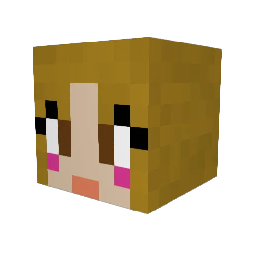 Hens10 Minecraft avatar head, 3D render