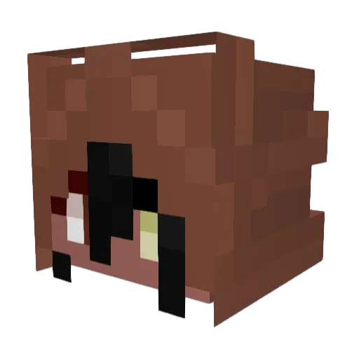 Henvibe Minecraft avatar head, 3D render