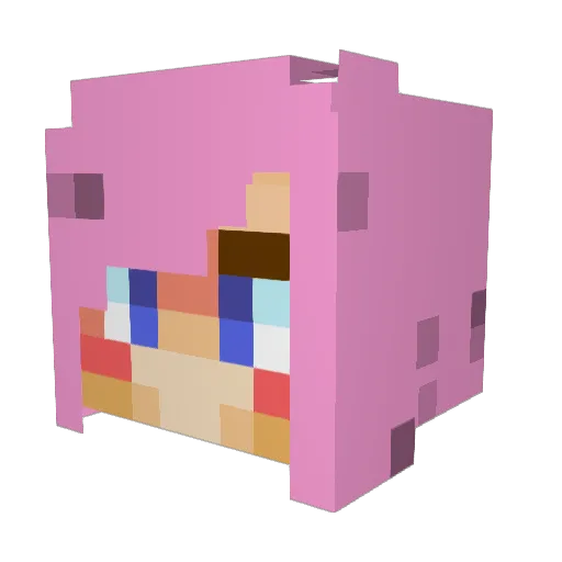 Heoll_ Minecraft avatar head, 3D render