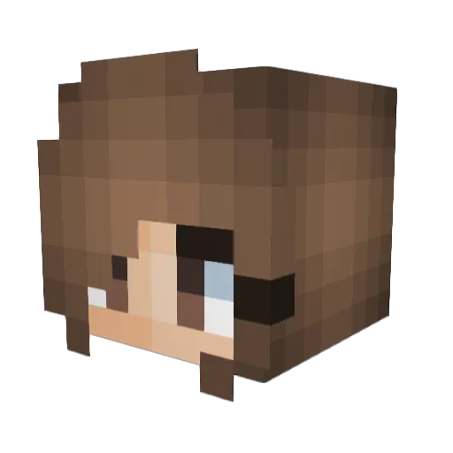 Hepofani08 Minecraft avatar head, 3D render