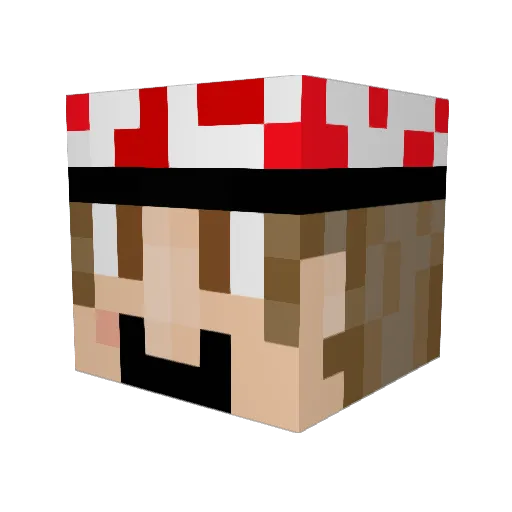 Heppan22 Minecraft avatar head, 3D render