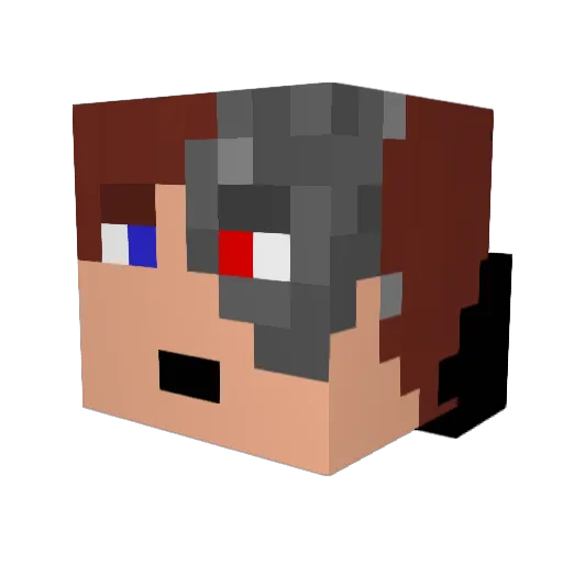 Heppers58 Minecraft avatar head, 3D render