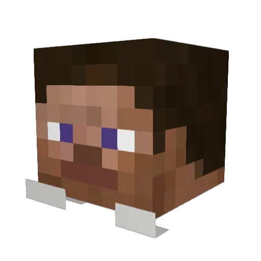 Heppetto Minecraft avatar head, 3D render