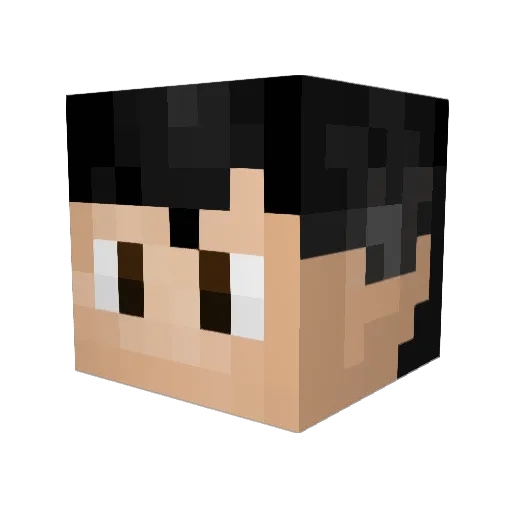 Heptacampeon Minecraft avatar head, 3D render