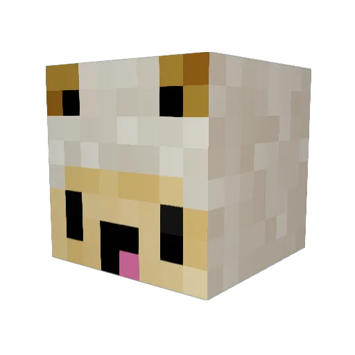 Hepux06 Minecraft avatar head, 3D render