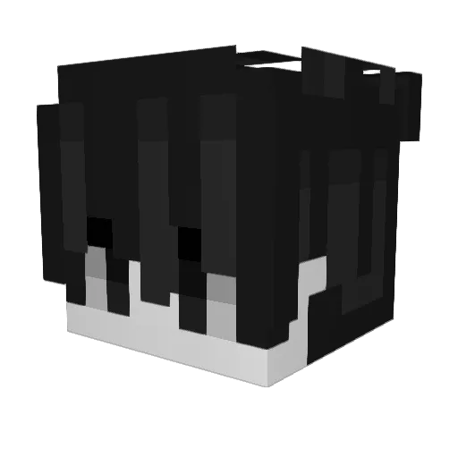 Her0Bot Minecraft avatar head, 3D render