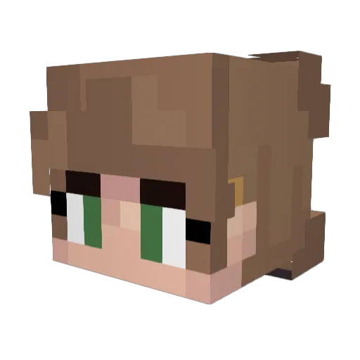 HerBlurrySide Minecraft avatar head, 3D render