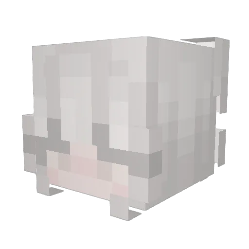 Her_Guavaness Minecraft avatar head, 3D render