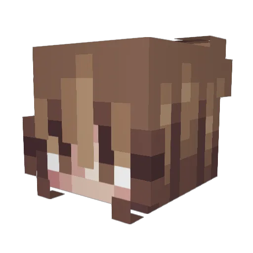 Hera250 Minecraft avatar head, 3D render