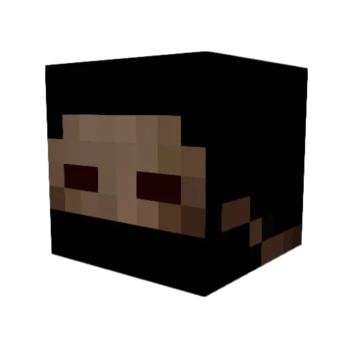Hera78 Minecraft avatar head, 3D render