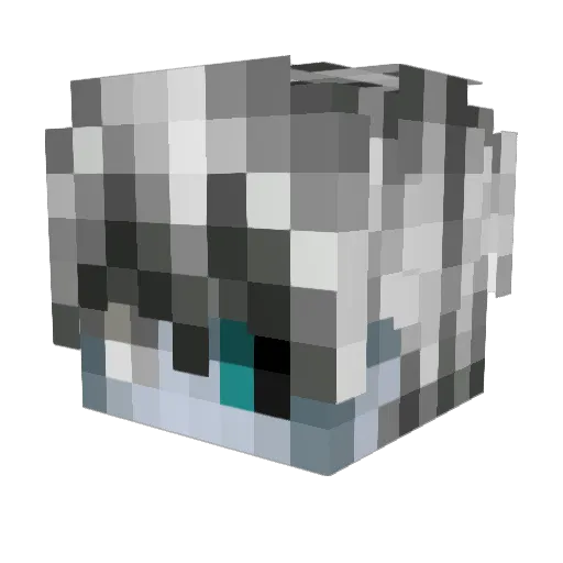 HeraldOfKos Minecraft avatar head, 3D render