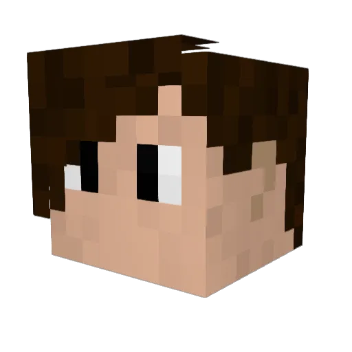 Herarodz Minecraft avatar head, 3D render