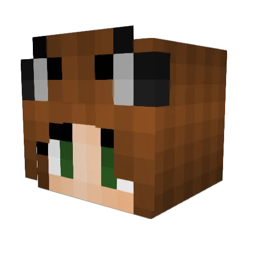 Herayl Minecraft avatar head, 3D render